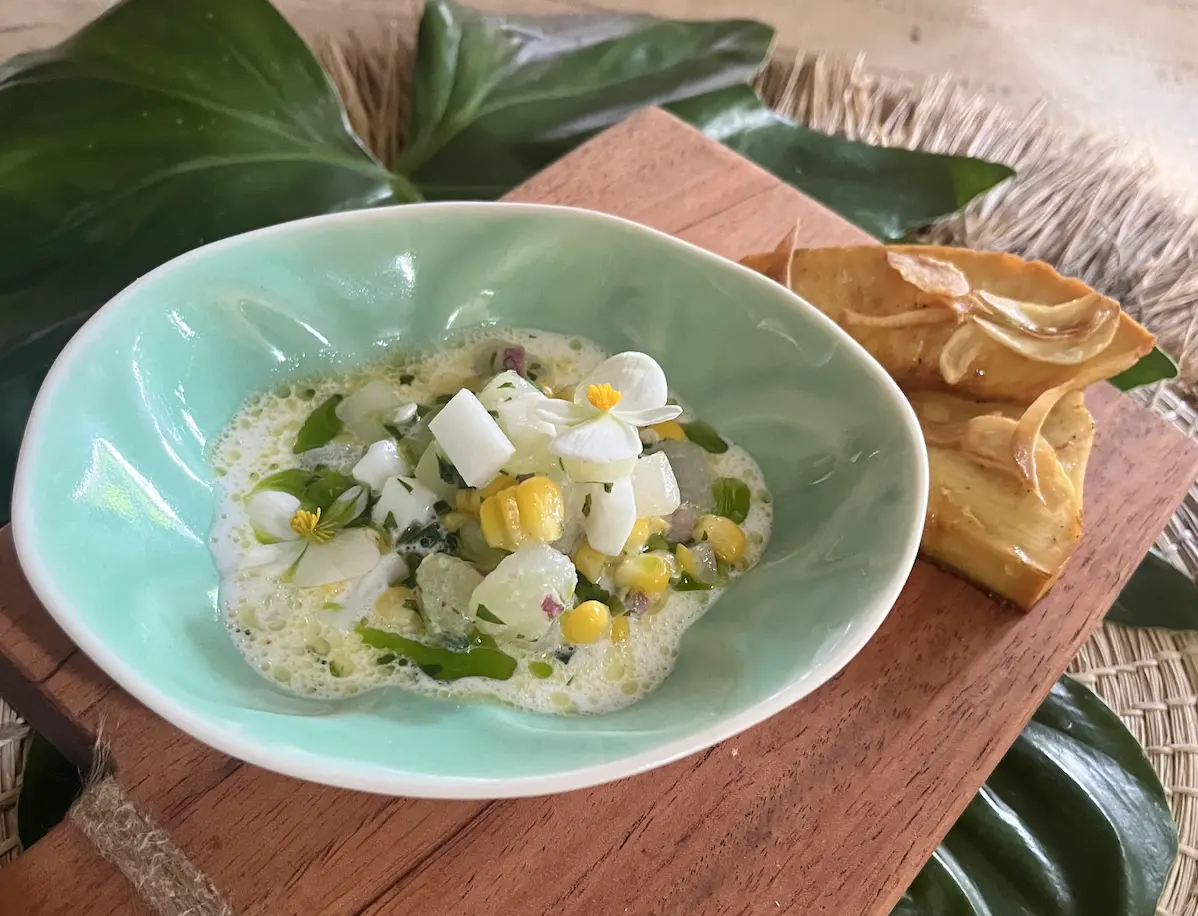 Planting New Seeds experience at Jamaica Inn